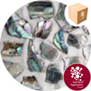 Crushed Sea Shells - Natural Abalone - Gravel - 8999G